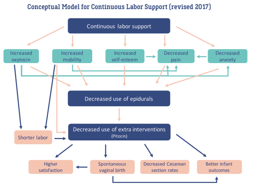 Conceptual Model Doulas (revised 2017) | Evidence Based Birth®