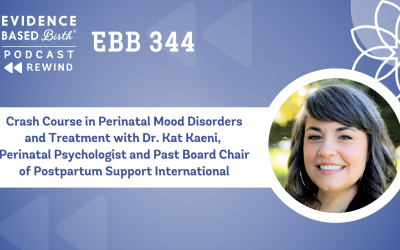 REPLAY: EBB 344 – Crash Course in Perinatal Mood Disorders and Treatment with Dr. Kat Kaeni, Perinatal Psychologist and Past Board Chair of Postpartum Support International